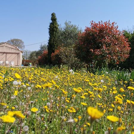 Maison De Vacances L'Hote Champetre Campagne Arlesienne Bagian luar foto