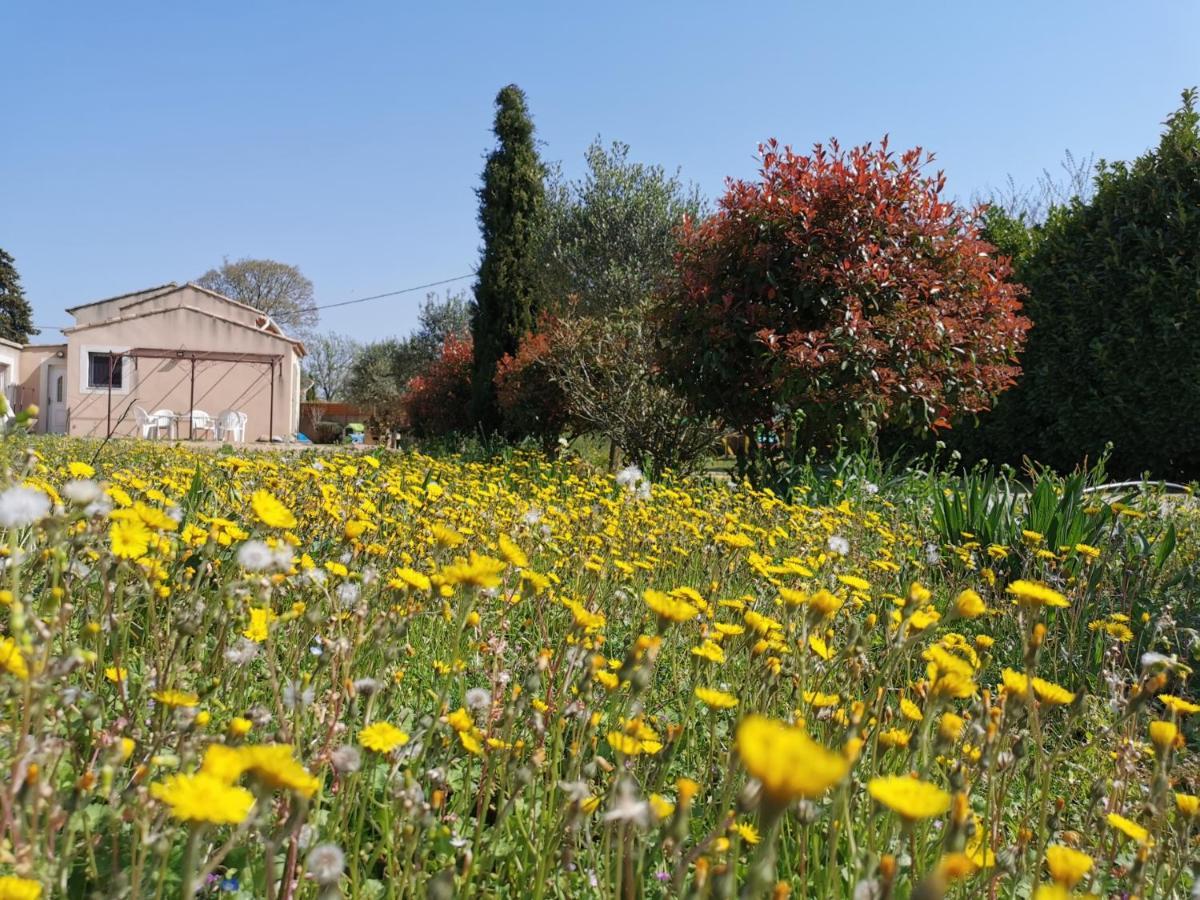 Maison De Vacances L'Hote Champetre Campagne Arlesienne Bagian luar foto
