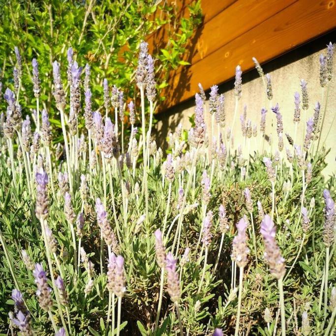 Maison De Vacances L'Hote Champetre Campagne Arlesienne Bagian luar foto