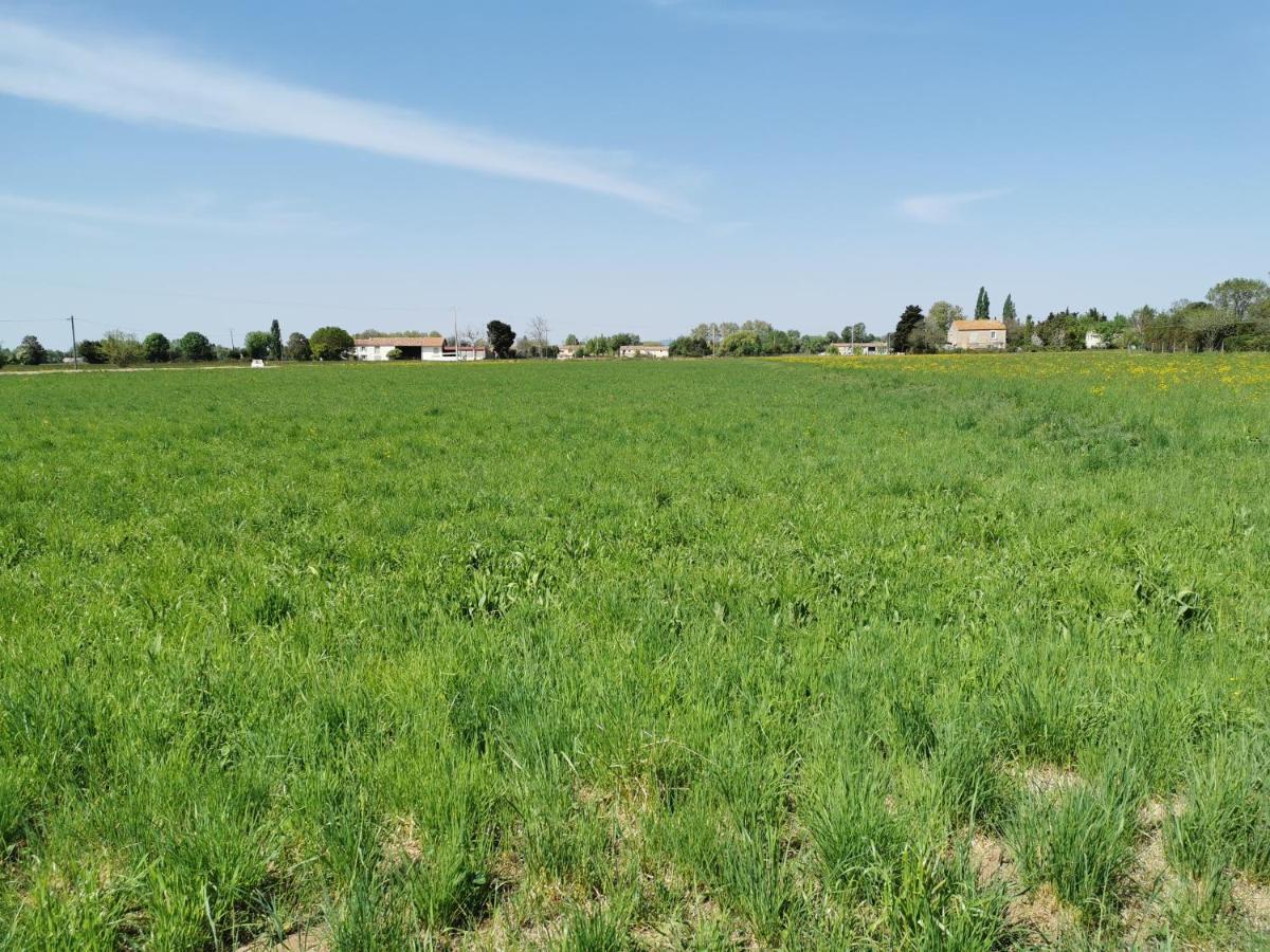 Maison De Vacances L'Hote Champetre Campagne Arlesienne Bagian luar foto